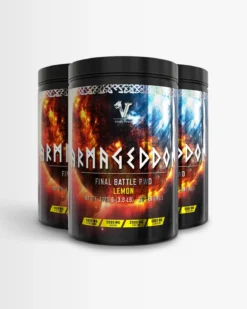 3 st Armageddon - PWO